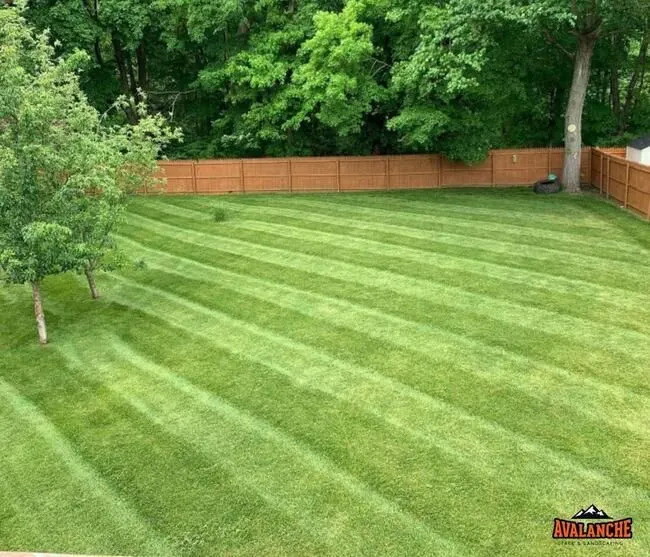 Avalanche Tree and Landscaping LLC