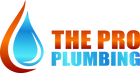 The Pro Plumbing logo