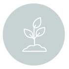 Mitchell Holistic Health logo