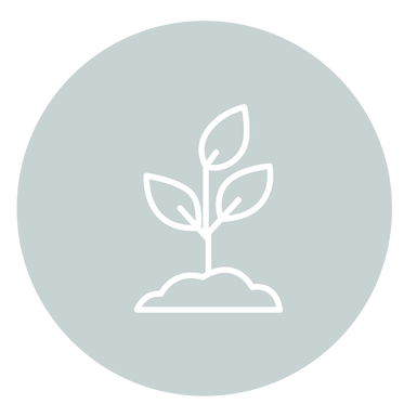 Mitchell Holistic Health