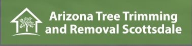 Arizona Tree Trimming And Removal Scottsdale