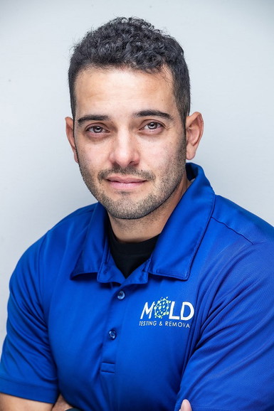 Mold Testing & Removal Services
