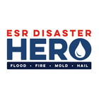 ESR Disaster Hero logo