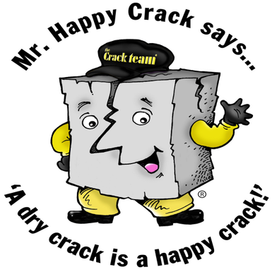 The Crack Team