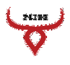 Bulls Prime Construction LLC logo