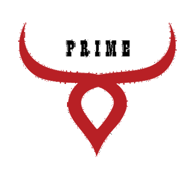 Bulls Prime Construction LLC