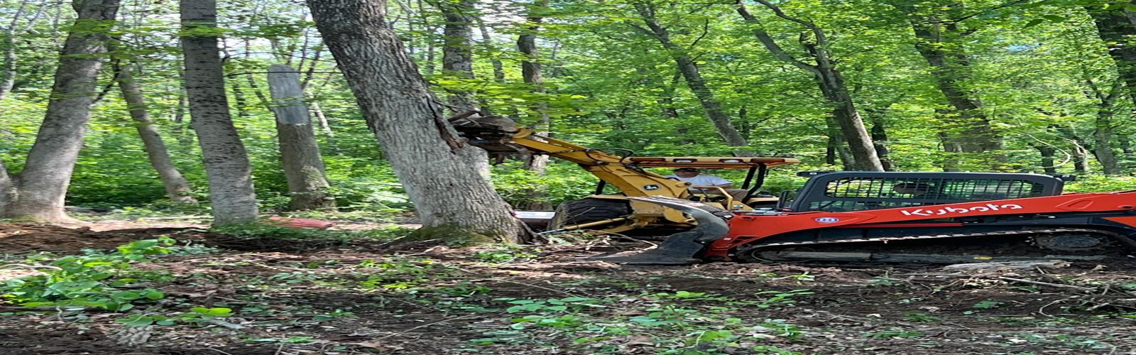 Lumberjacks Tree Service LLC