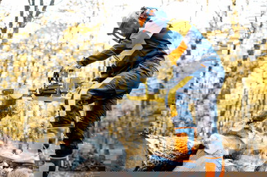 Nottingham Tree Surgeons