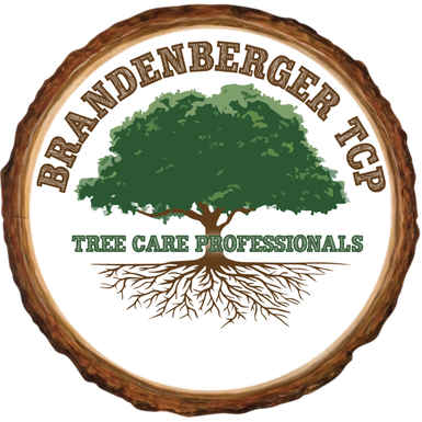 Brandenberger Tree Care Professionals LLC
