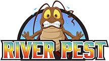 Project cover